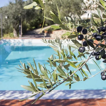 Modern In With Swimming Pool * Larciano