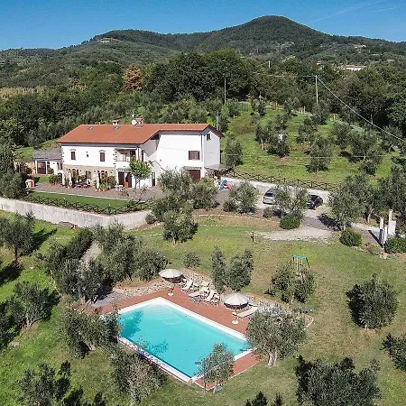Modern In With Swimming Pool *